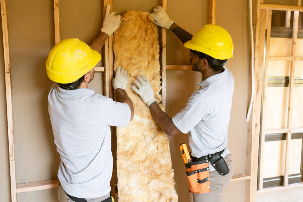 Best Insulation Contractors for Homes  in Russells Point, OH