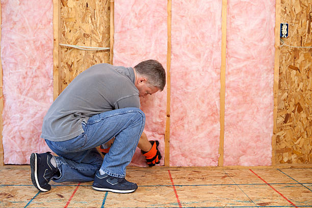 Best Fiberglass Insulation  in Russells Point, OH